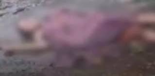 दंतेवाड़ा में दरिंदगी,महिला से दुष्कर्म के बाद हत्या