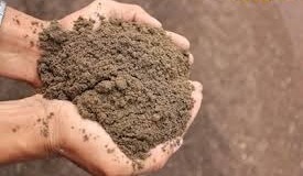 अपने किचन गार्डन में हरी-भरी सब्जियां उगाना चाहते हैं, तो जानिए कौन-सी मिट्टी है आपके सब्जियों के लिए सबसे उपजाऊ!