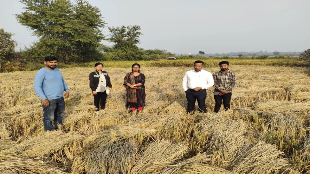 सरकारी जमीन में कब्जा कर खेती करने वालों की फसल की गई जब्त
