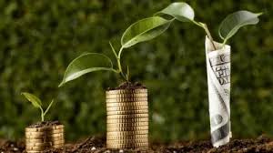 वास्तु शास्त्र :मनी प्लांट को घर में रखने से आती है बरकत,जानें इससे जुड़े नियम