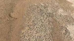 सीसी रोड निर्माण में गुणवत्ता हीन कार्य,महज 20 दिन में उखड़ी सड़के,दो अफसर निलंबित 