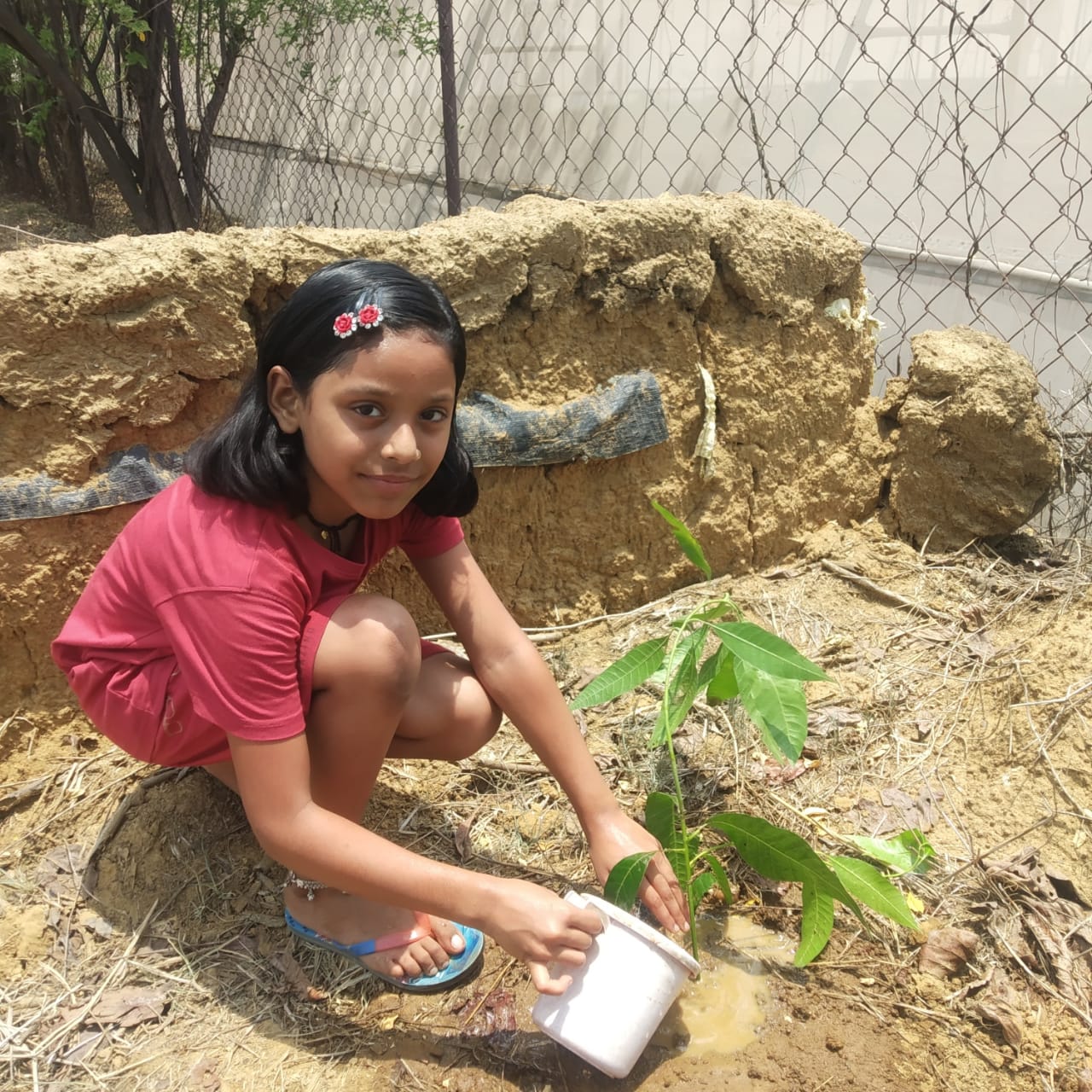 केंद्रीय विद्यालय किरन्दुल में पर्यावरण दिवस का किया गया आयोजन