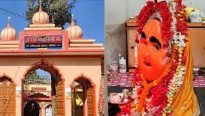 जंगलों के बीच धरती से निकली छत्‍तीसगढ़ में है अनोखा बिलाई माता का मंदिर, जानिए बिल्‍ली से जुड़ी ये रोचक कहानी