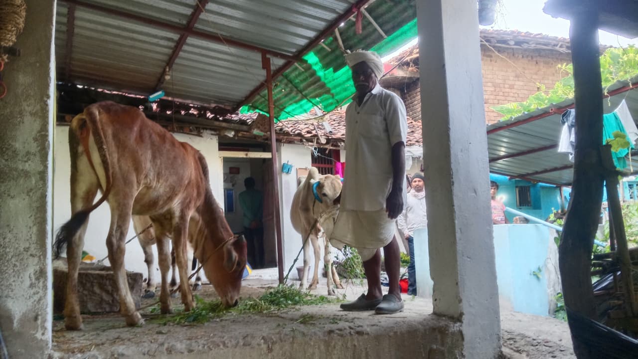 महात्मा गांधी नरेगा ने बदली बुलबुलराम की किस्मत: एक छोटे किसान से सफल ऑर्गेनिक बाड़ी उत्पादक की कहानी