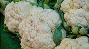 क्यों होती है फूलगोभी में बटनिंग की समस्या? जानें कैसे करें बीमारी की रोकथाम