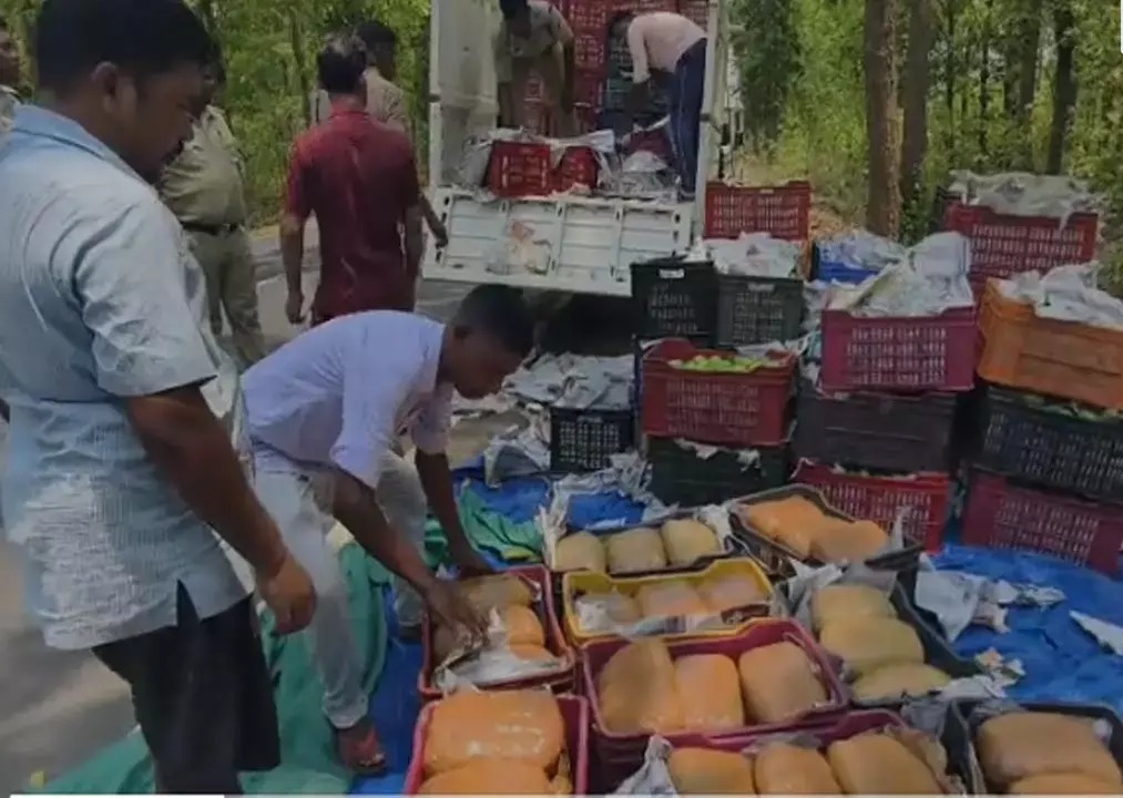 आम के ट्रे में छिपाकर ले जा रहे थे 1 करोड़ का गांजा, जशपुर पुलिस ने पकड़ी बड़ी खेप