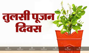 Tulsi Pujan Diwas 2025 जरूर करें ये काम,मिलेगा शुभ फल