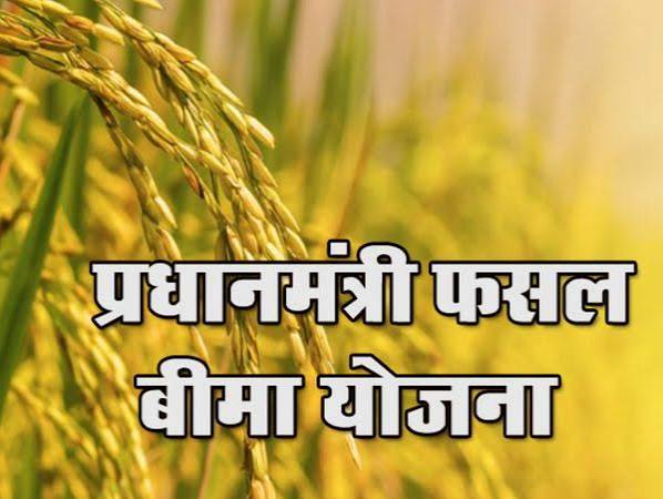 छत्तीसगढ़ के किसानों के लिए बड़ी खबर! 31 जुलाई से पहले जरूर कराएं फसल बीमा, वरना चूक जाएंगे मौका