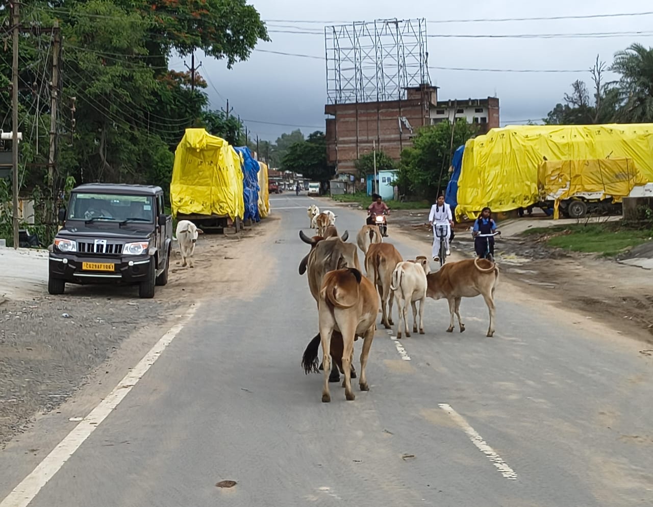 अनदेखी : रोजाना लगता है जाम, राहगीरों और वाहन चालकों की बढ़ी मुश्किलें, सड़कों पर आवारा पशुओं का कब्जा