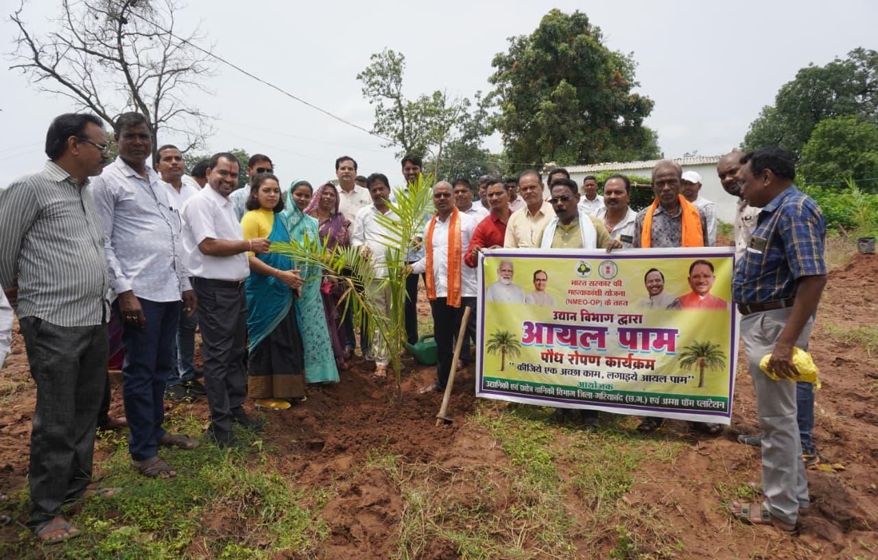 भारत सरकार की महत्वकांक्षी योजना नेशनल मिशन ऑन एडिबल ऑयल अंतर्गत उद्यानिकी एवं प्रक्षेत्र वानिकी विभाग विकासखंड छुरा जिला गरियाबंद आयल पाम पौधों का जिले में प्रथम रोपण