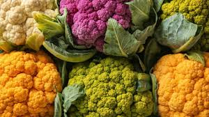 रंगीन फूलगोभी किसानों के लिए साबित हो रहा वरदान,जानें कैसे करें इसकी खेती 