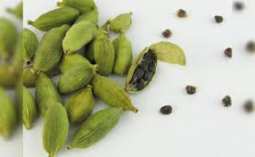 सेहत के लिए बेहद ही फायदेमंद है इलायची,जानें सेवन का सही तरीका  