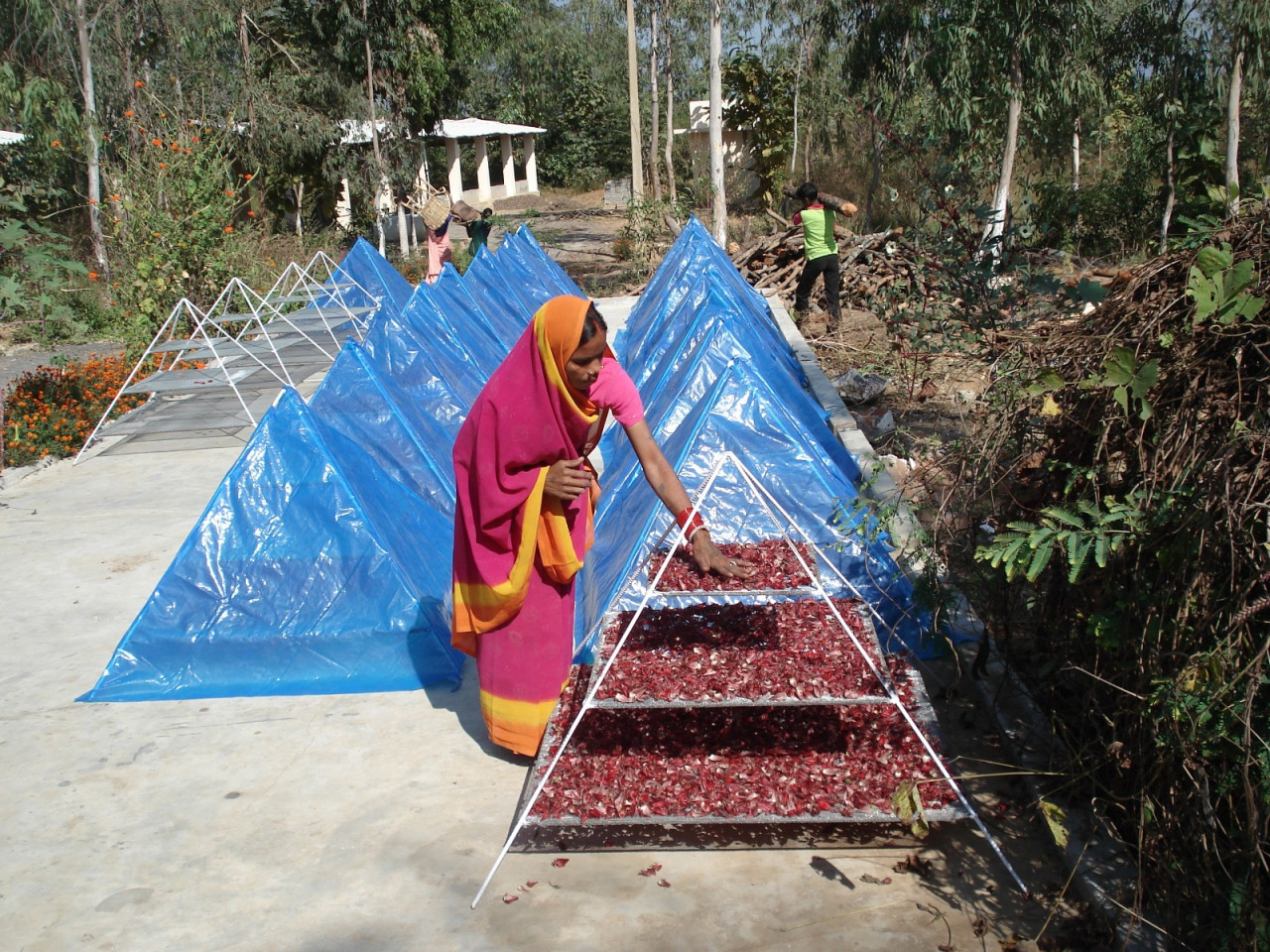 हरिबोल स्व सहायता समूह : वनौषधि प्रसंस्करण केंद्र डोंगानाला की प्रेरक सफलता