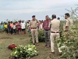 बिलासपुर में बुजुर्ग महिला की कुल्हाड़ी से हत्या,इलाके में मचा हड़कंप 