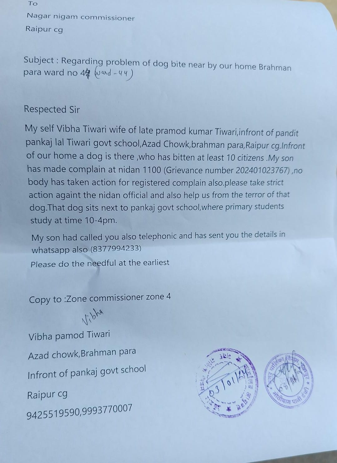 रायपुर ब्राह्मण पारा वार्ड 44 में कुत्ते का आतंक