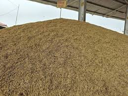 जानिए धान के भंडारण के सरल और प्रभावी तरीके