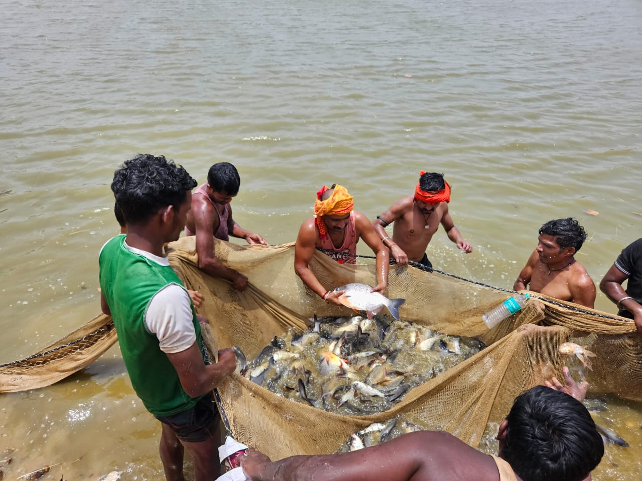  शासकीय योजनाओं से ग्रामीण अर्थव्यवस्था को मिल रही मजबूती