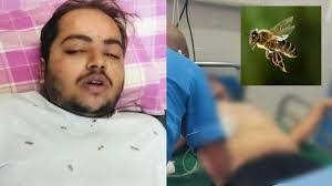 शिवभक्तों पर मधुमक्खियों ने किया हमला, 10 से ज्यादा श्रद्धालु घायल