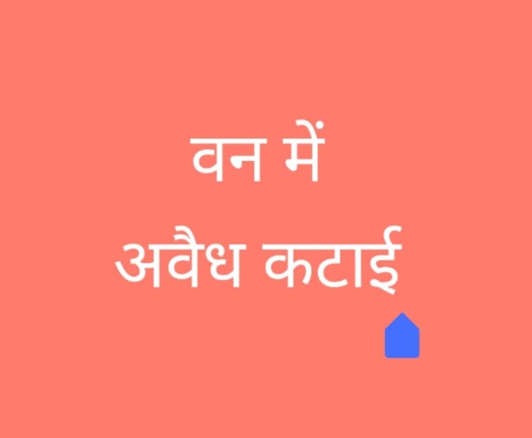 वन क्षेत्र में अवैध कटाई और परिवहन की शिकायत पर वन विभाग सतर्क