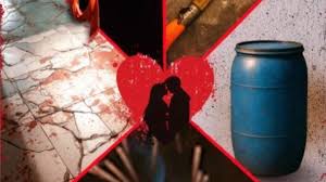 ओटीटी पर रिलीज हुई टॉप रेटेड डॉक्यु सीरीज,नीले ड्रम और हनीमून हत्या की वो सच्चाई, जिसे देख रूह कांप जाएगी