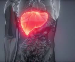 स्किन पर 5 तरह से दिखाई देते हैं लिवर डैमेज के लक्षण,न करें नजरअंदाज