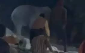 जमीन बेचने का झांसा देकर बिल्डर से 64 लाख रुपए की ठगी,कांग्रेस नेता सहित तीन लोगों के खिलाफ मामला दर्ज 