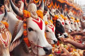 जानिए कब मनाई जाएगी गोपाष्टमी? नोट करें शुभ मुहूर्त और योग