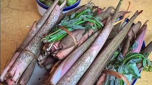 ये सब्जी कर देगी बुढ़ापे को छूमंतर, खेती करके नोटों की गड्डियों से भर जायेगा किसानों का घर