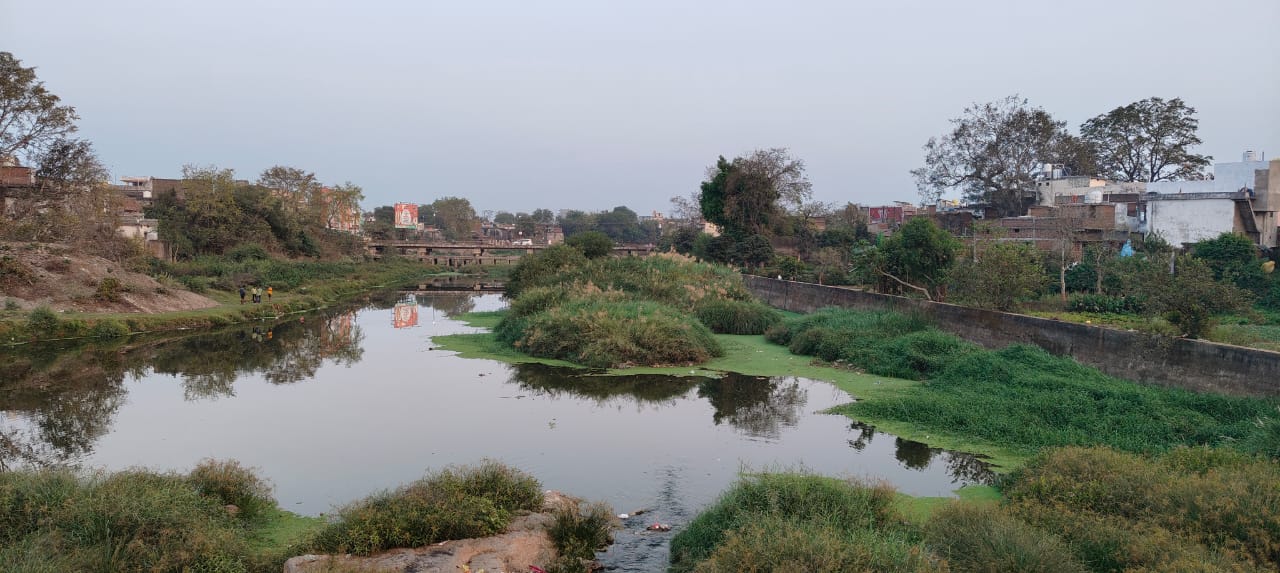 मुंगेली की लाइफ लाइन आगर नदी का हाल बेहाल, अस्तित्व को बचाने की लड़ रही लड़ाई