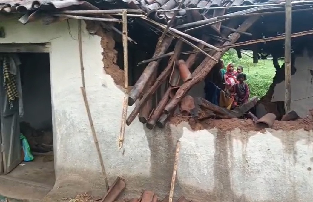कटहल की खुशबू खींच लाई गजराज को गांव! दो घर तोड़े, अनाज चट किया… 18 हाथियों के दल से जशपुर में दहशत