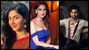 भारत में फिर दिखे पाक एक्टर्स के अकाउंट्स,सोशल मीडिया अकाउंट्स पर लगा बैन हटा
