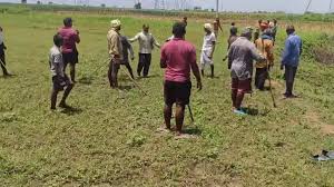 गांव में स्वतंत्रता दिवस के दिन जमीन विवाद ने लिया हिंसक मोड़,तलवार और लाठी-डंडों से हमला