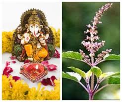 माता तुलसी और गणेश जी ने एक-दूसरे को क्यों दिया था श्राप, पढ़िए ये अद्भुत कथा