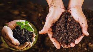 रासायनिक खाद की बजाय जैविक खाद का करें उपयोग और उठाएं बंपर उत्पादन का लाभ