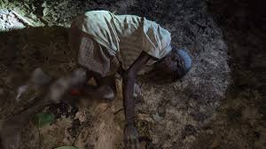  रायगढ़ में जंगली हाथियों का आतंक,लकड़ी लेने गए बुजुर्ग को उतारा मौत के घाट