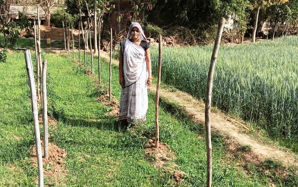 मेहनत से लिखी सफलता की कहानी,सब्जी उत्पादन से आरती की सालाना आय पहुँची 1.13 लाख