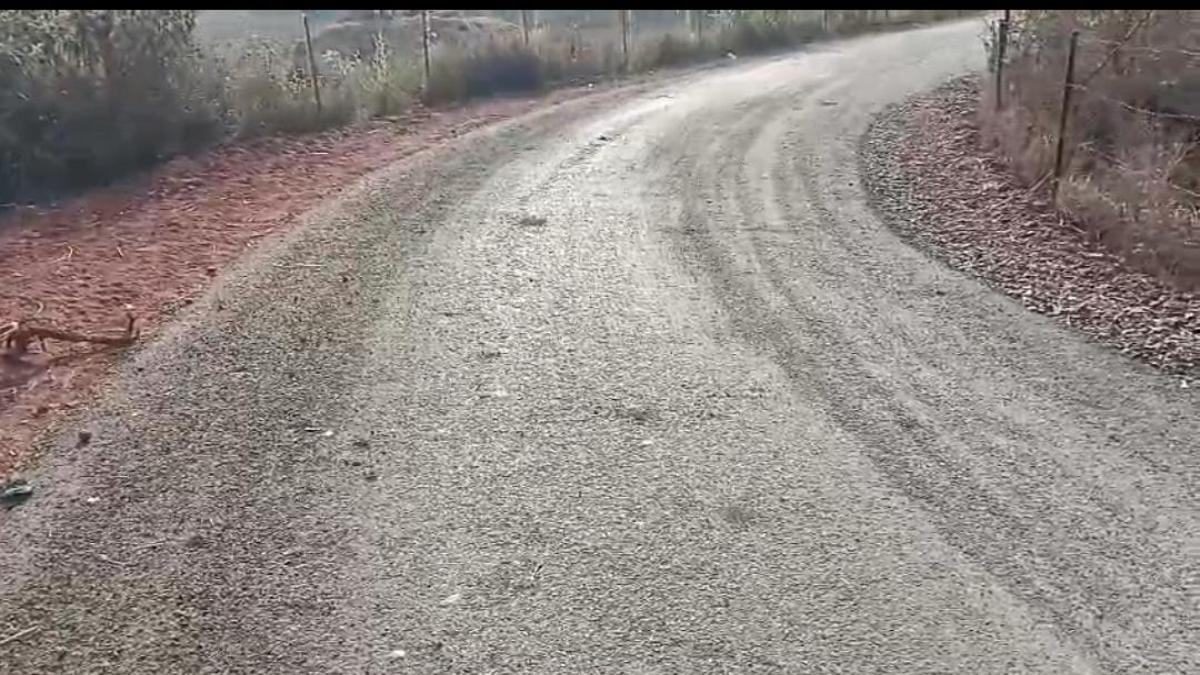 ठेकेदार की मनमानी : ढाई किमी की सड़क पर 67 लाख खर्च, पखवाड़ेभर में उखड़ने लगा डामर