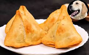 राजधानी रायपुर में अजीबो गरीब घटना : दुकानदार ने कुत्ते को सुंघाकर ट्रे में रखे समोसे, युवक की पिटाई