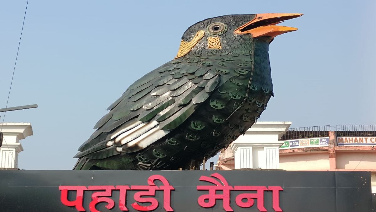 100 किलो कबाड़ से राजकीय पक्षी को किया गया है तैयार,पहाड़ी मैना की प्रतिमा रायपुर की बढ़ा रही शोभा