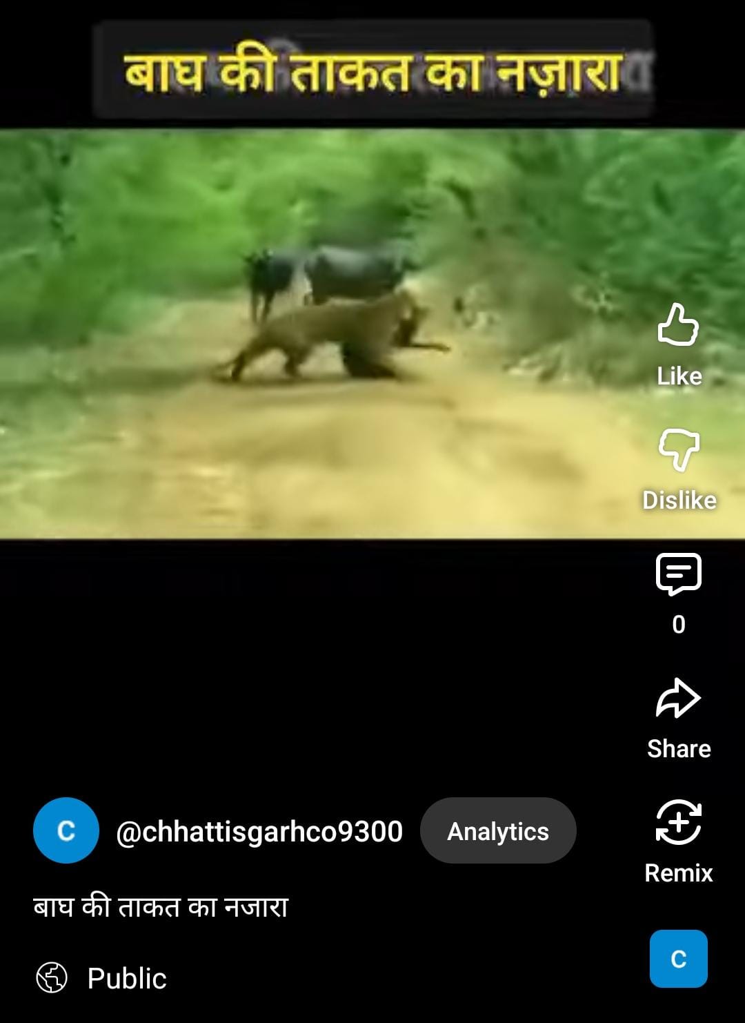 बाघ की ताकत का नजारा