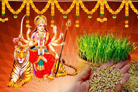 गेहूं या चावल क्यों नहीं माता की चौकी पर जौ ही क्यों? जानें