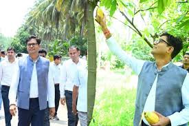 मंत्री ओपी चौधरी ने किया दौरा,100 एकड़ में फैला कोकोनट रिसर्च सेंटर