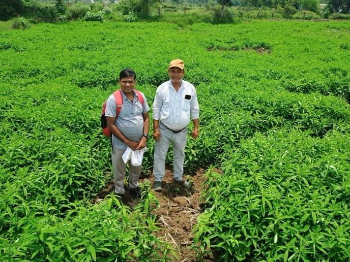 जैविक खेती ने बदली तस्वीर