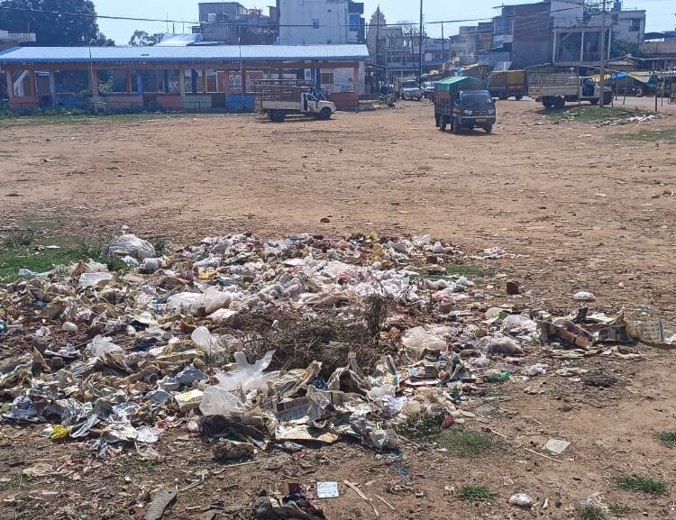 मौहल्लों में फैली है यत्र तंत्र गंदगी, और नगर पालिका मना रहा पर्यावरण दिवस 